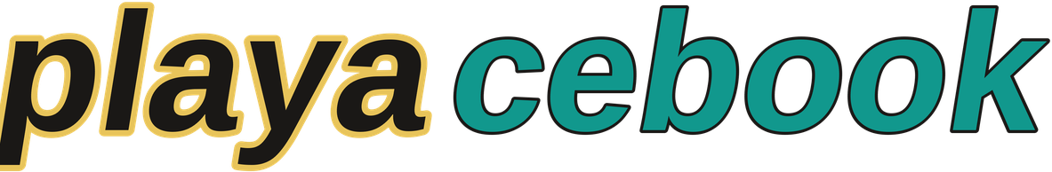 playacebook logo